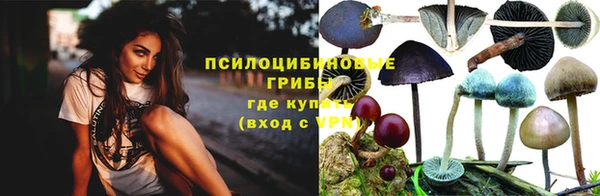 тгк Зерноград