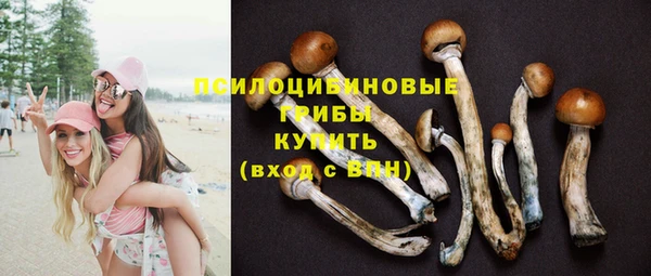 тгк Зерноград